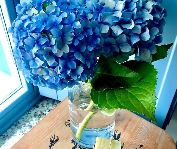 Turisticos Casa Dina Apartmán Rinlo